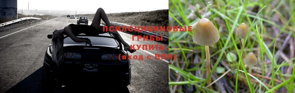 марки nbome Алзамай