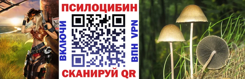 ОМГ ОМГ ссылка  Салават  Псилоцибиновые грибы прущие грибы 